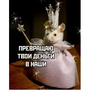 Стикер 25 из набора Мемс