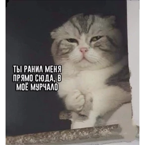 Стикер 33 из набора Мемс