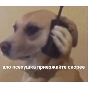Стикер 36 из набора Мемс