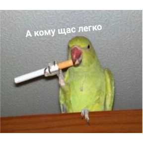 Стикер 34 из набора Мемс