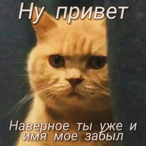 Стикер 41 из набора Мемс