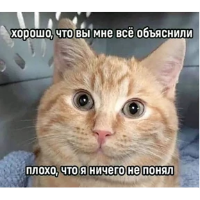 Стикер 39 из набора Мемс