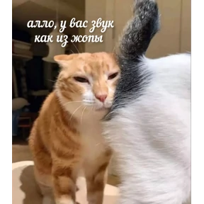 Стикер 44 из набора Мемс