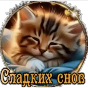 Стикер