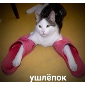 Набор 1 — стикер для MAX