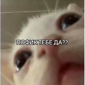 Фото — 21 августа 2026 г. в 19:00:03.427