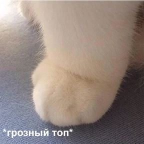 Именно они — стикер для MAX
