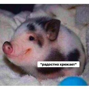 Именно они — стикер для MAX