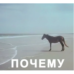 Именно они — стикер для MAX