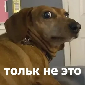 Именно они — стикер для MAX