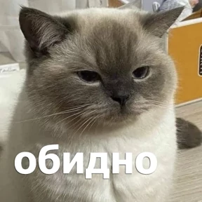 Именно они — стикер для MAX