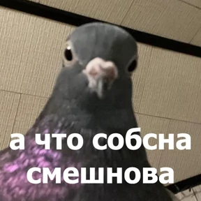 Именно они — стикер для MAX