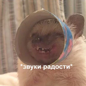 Именно они — стикер для MAX