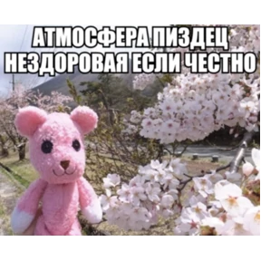 Жиза — стикер для MAX