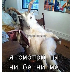 Жиза — стикер для MAX