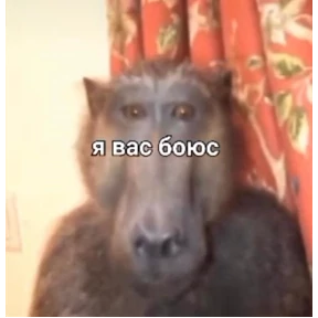 Жиза — стикер для MAX