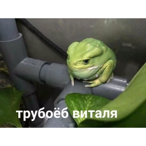 Эщкере — стикер для MAX