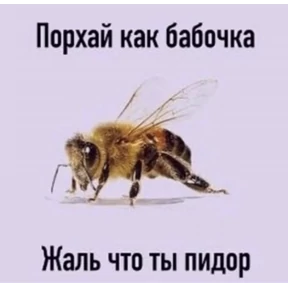 Эщкере — стикер для MAX