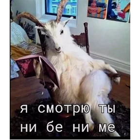 Эщкере — стикер для MAX