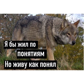 Эщкере — стикер для MAX