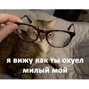 Мои — стикер для MAX