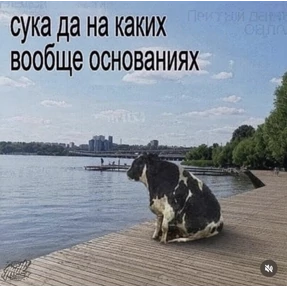 Федя — стикер для MAX