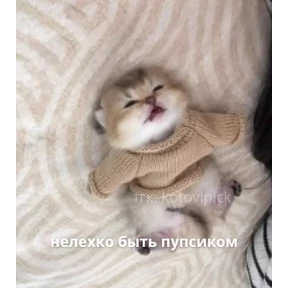 Лю лю))) — стикер для MAX
