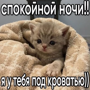 Лю лю))) — стикер для MAX