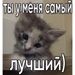 Лю лю))) — стикер для MAX