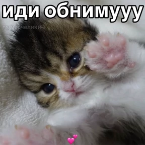 Лю лю))) — стикер для MAX