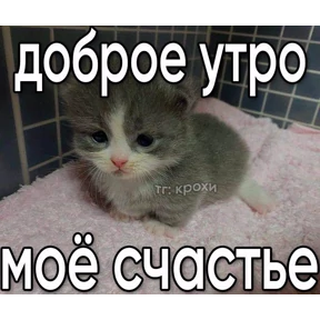 Лю лю))) — стикер для MAX