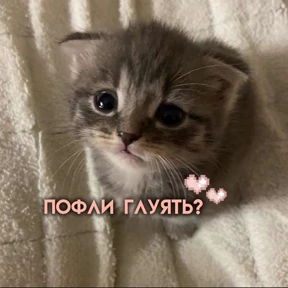 Лю лю))) — стикер для MAX
