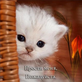 Лю лю))) — стикер для MAX