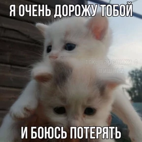 Лю лю))) — стикер для MAX