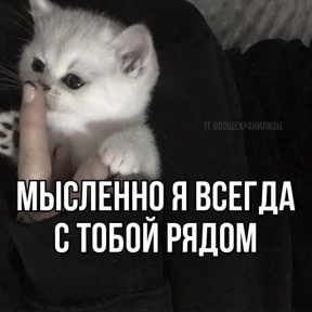 Лю лю))) — стикер для MAX