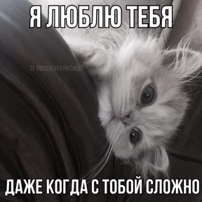 Лю лю))) — стикер для MAX