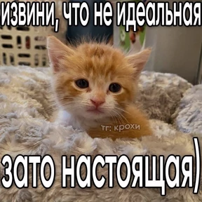 Лю лю))) — стикер для MAX