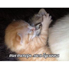 Лю лю))) — стикер для MAX