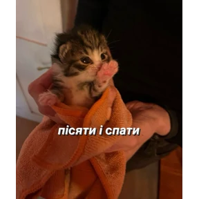 Лю лю))) — стикер для MAX