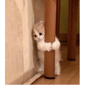 Лю лю))) — стикер для MAX