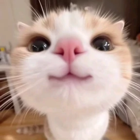 Лю лю))) — стикер для MAX
