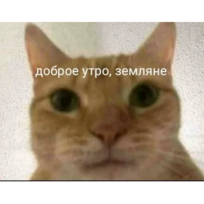 Стикер 39 из набора Stickersss