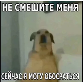 Фото — 22 августа 2026 г. в 05:00:08.309