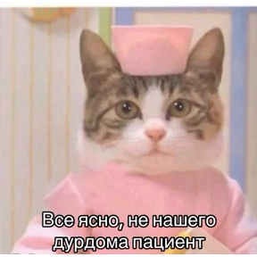 кисы — стикер для MAX