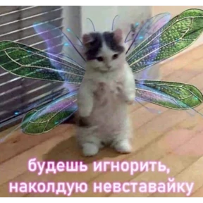 кисы — стикер для MAX