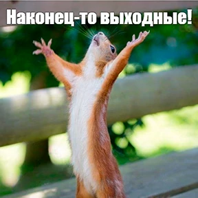 ХГПУ стики — стикер для MAX