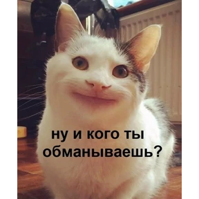 спороч кароч! — стикер для MAX