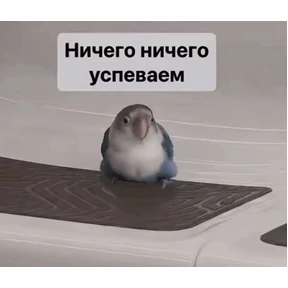 На случае важных переговоров — стикер для MAX