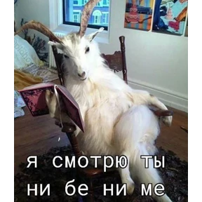 Мой набор — стикер для MAX