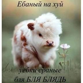Люлик 4 — стикер для MAX